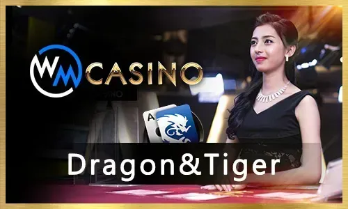 Immersive live casino experience at 8jili